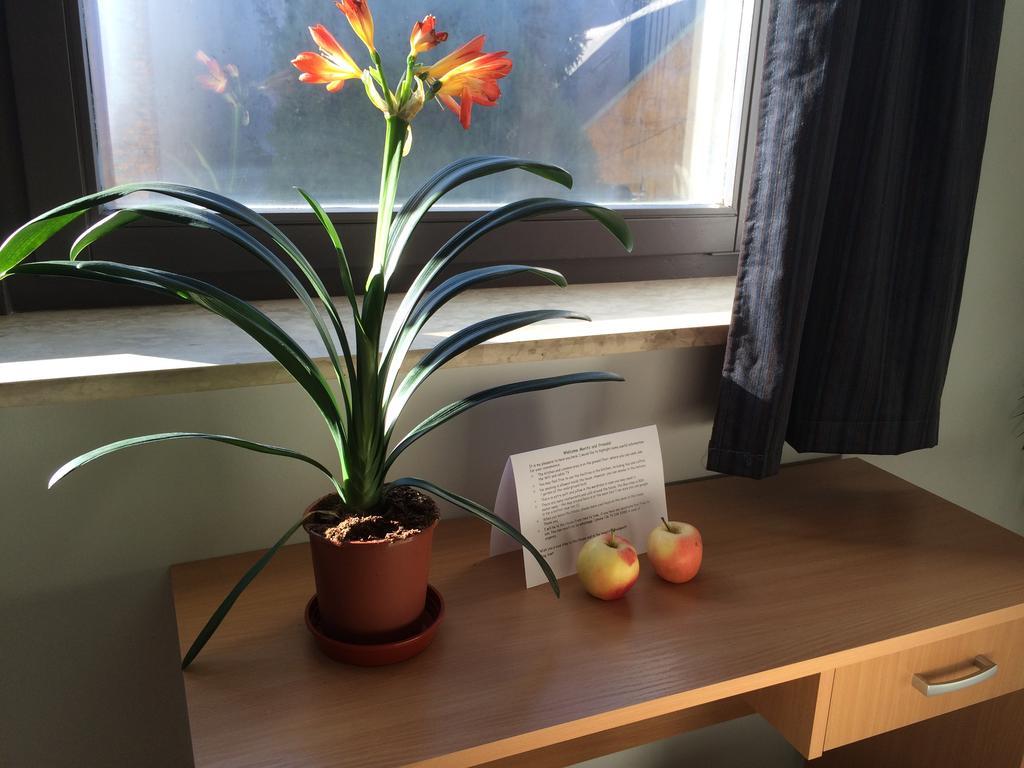 Zen House Hostel Будапеща Екстериор снимка