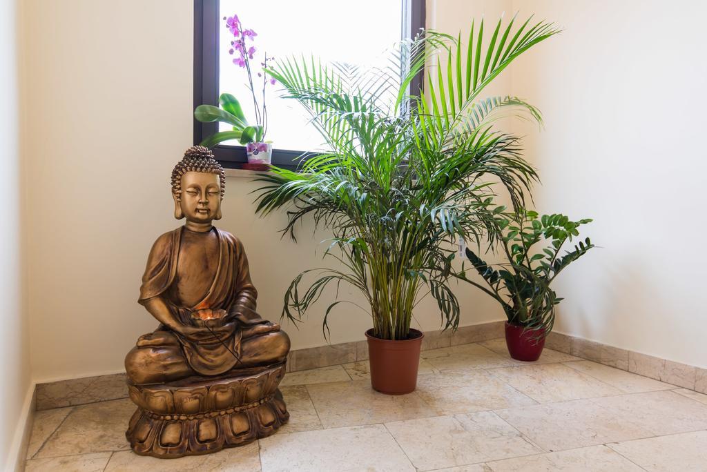 Zen House Hostel Будапеща Екстериор снимка